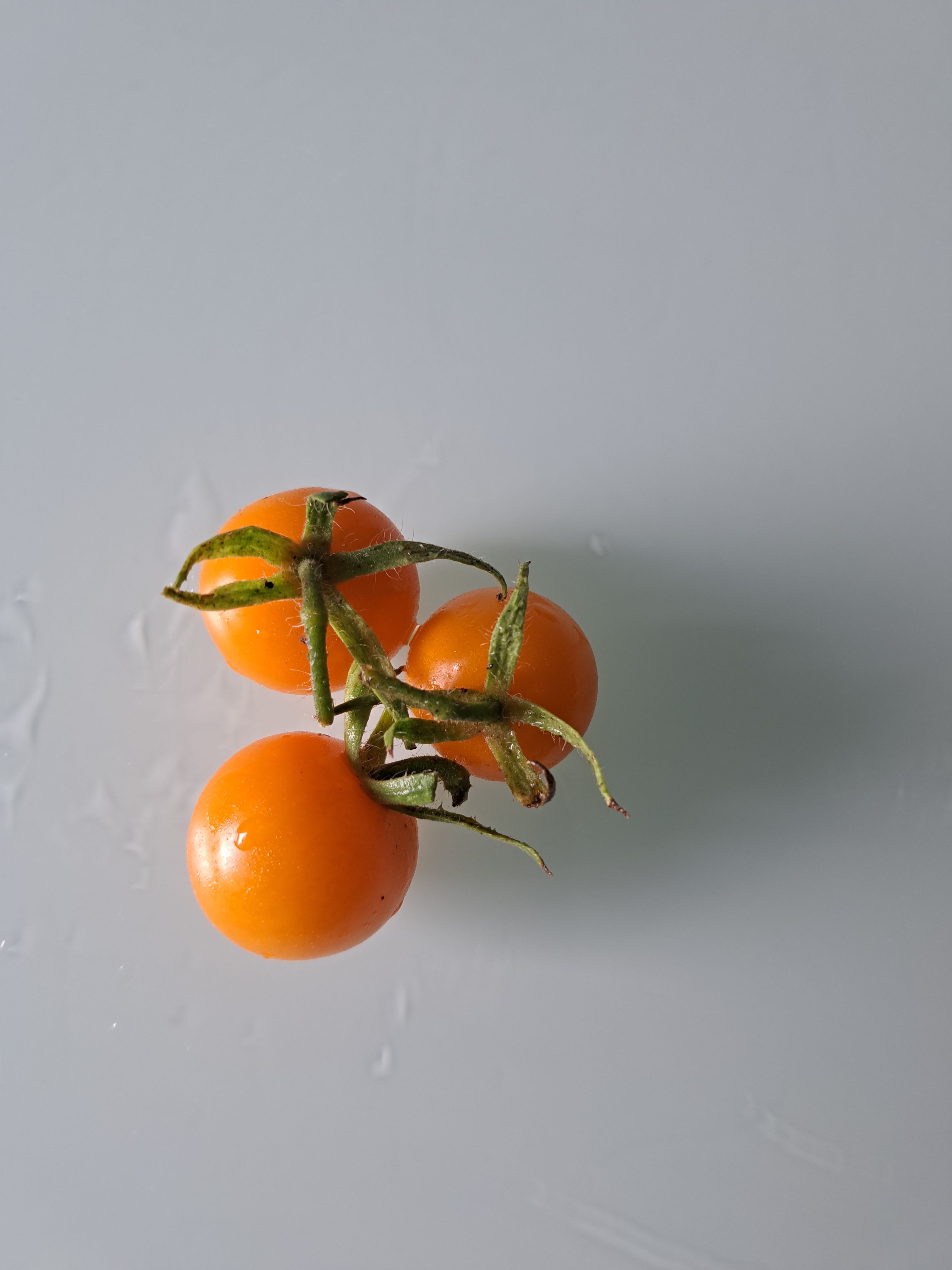 Cocktailtomate Perle Bild 1