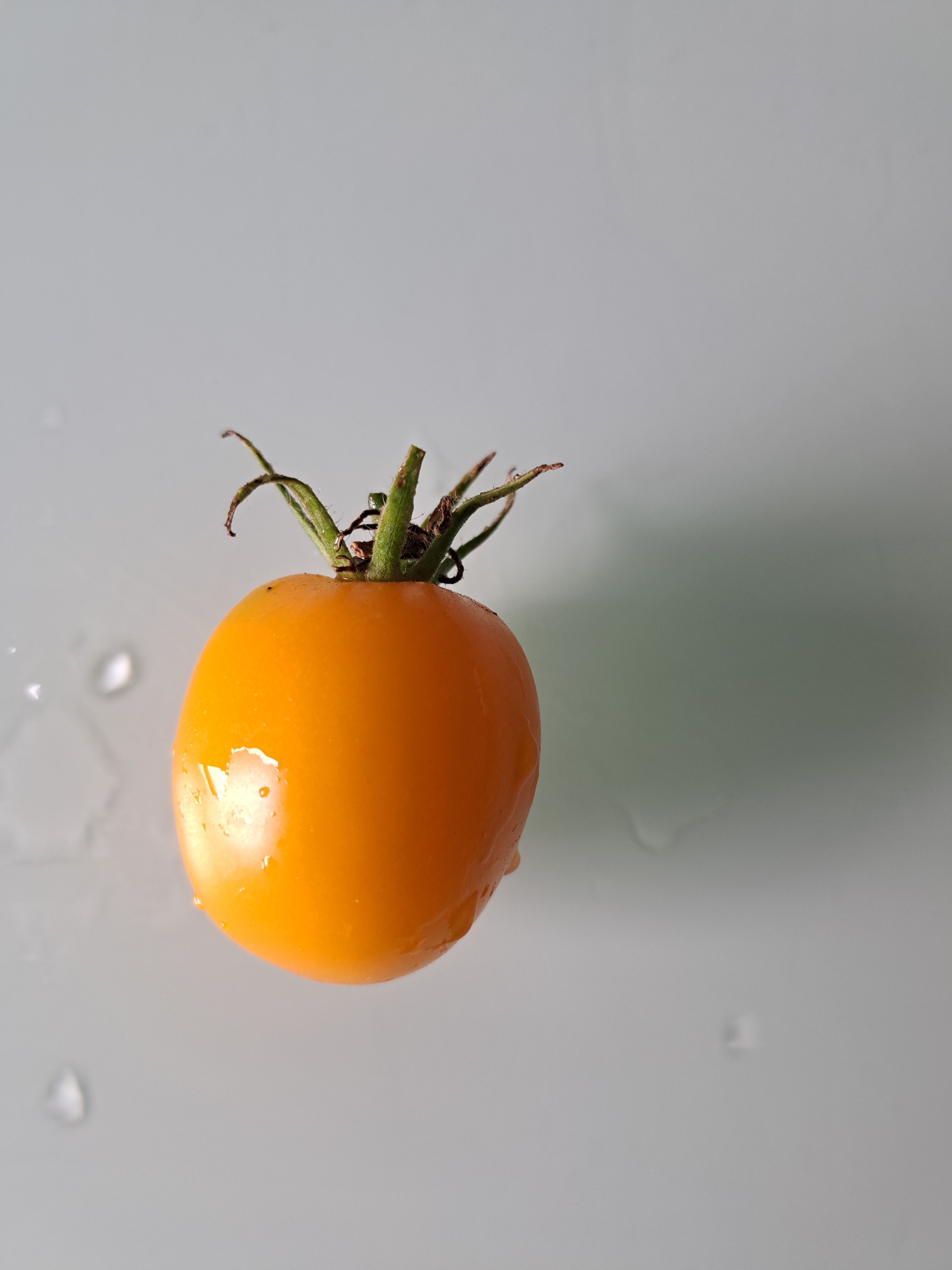 Salattomate Goldene Königin Bild 1