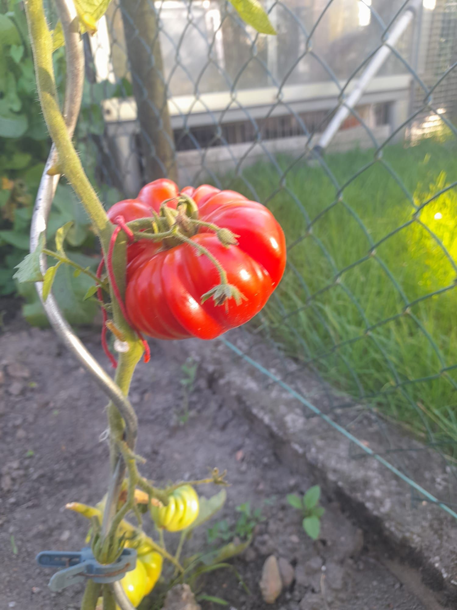 Marmande Bild 1