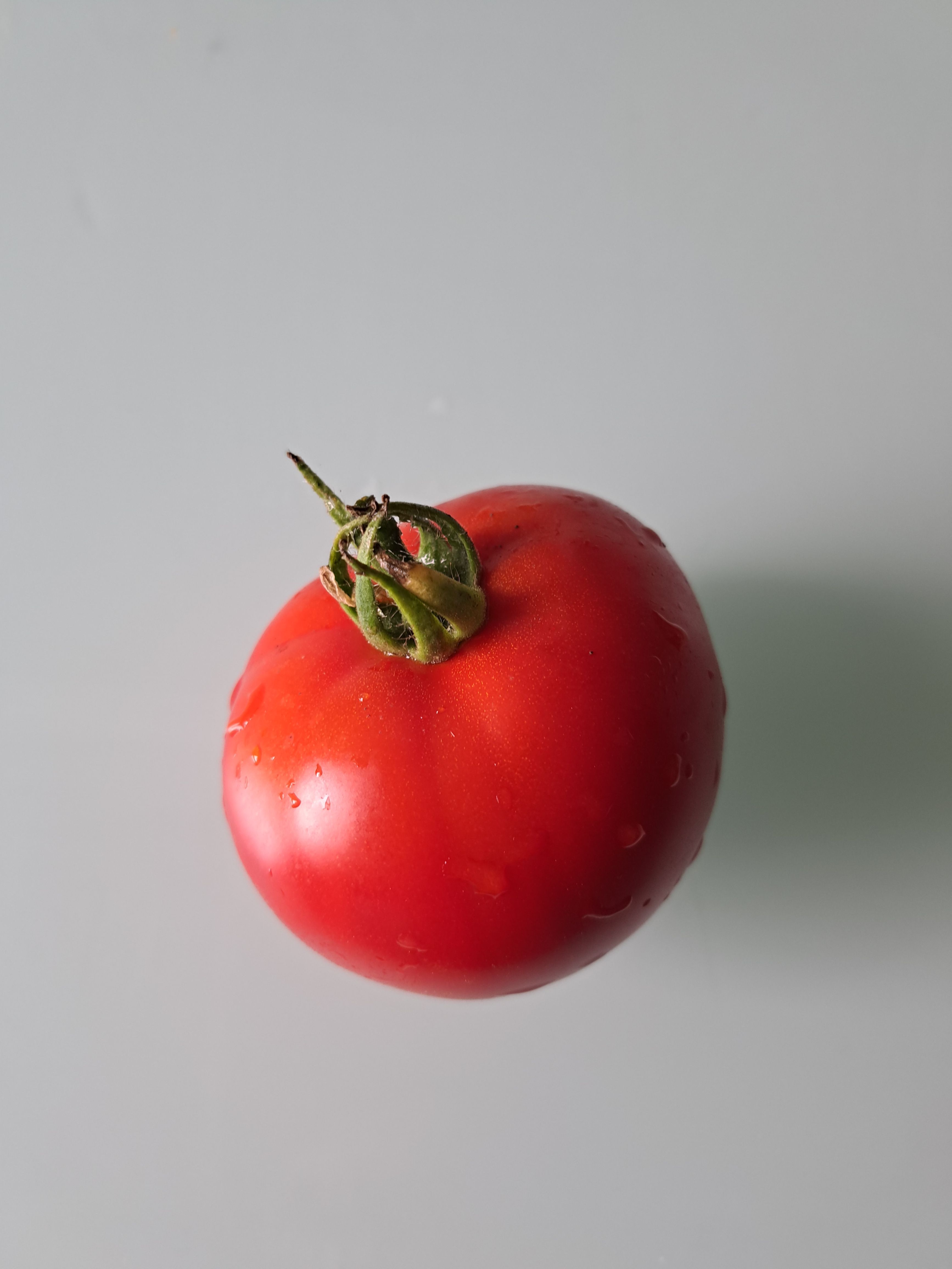 Feuerrote Fleischtomate Ogonjok Bild 1